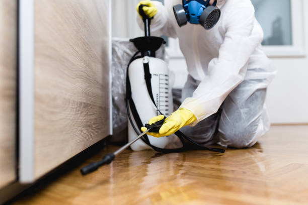 Best Bed Bug Extermination  in Knoxville, TN