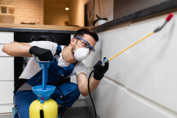 Best Best Pest Control Companies  in Knoxville, TN