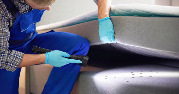 Best Pest Control for Homes  in Knoxville, TN
