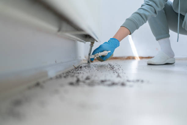 Professional Pest Control in Knoxville, TN